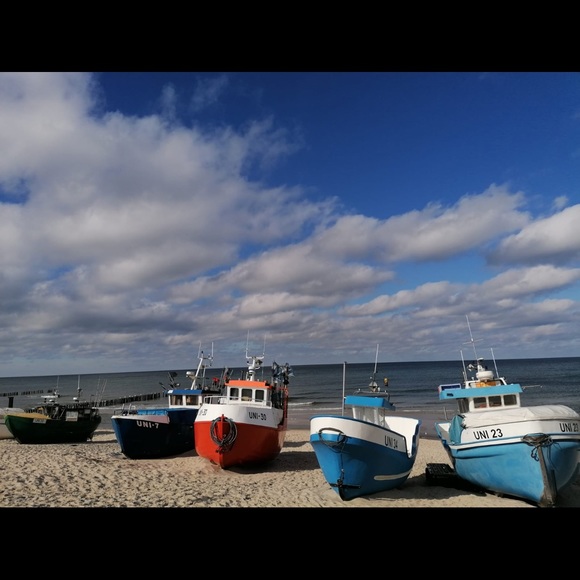 Meet your Posher, Eva - Picture 6 of 11